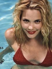 Leslie Bibb nude